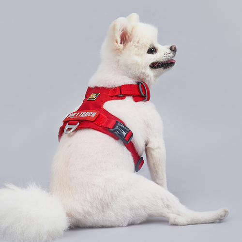 INTERLAKEN LIGHT HARNESS