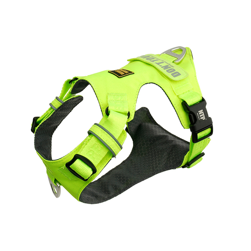 INTERLAKEN LIGHT HARNESS