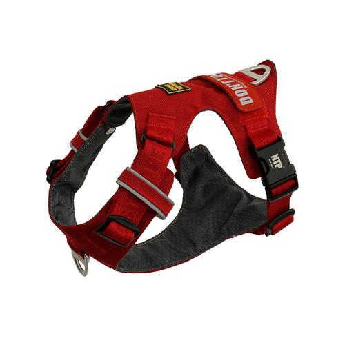 INTERLAKEN LIGHT HARNESS