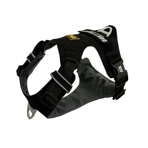 INTERLAKEN LIGHT HARNESS