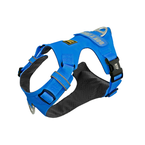 INTERLAKEN LIGHT HARNESS