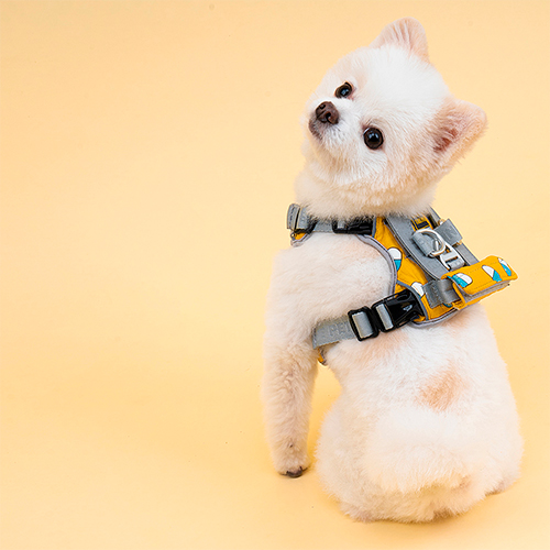 INTERLAKEN MINI HARNESS