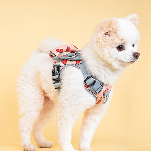 INTERLAKEN MINI HARNESS
