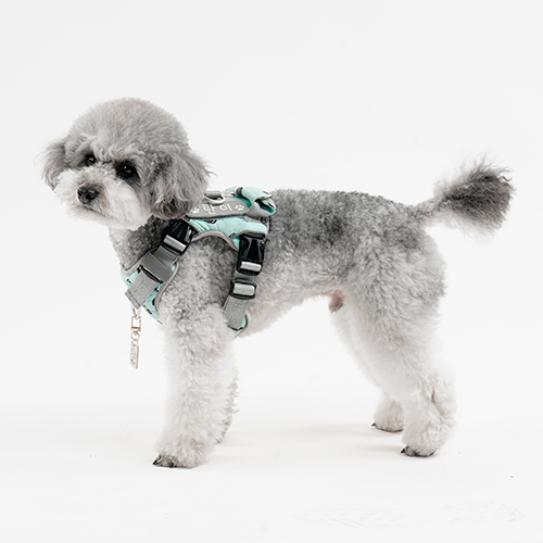 INTERLAKEN MINI HARNESS